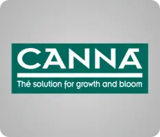 Canna