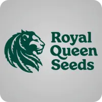 Royal Queen Seeds