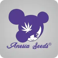 Anesia Seeds