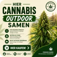 Cannabissamen Outdoor