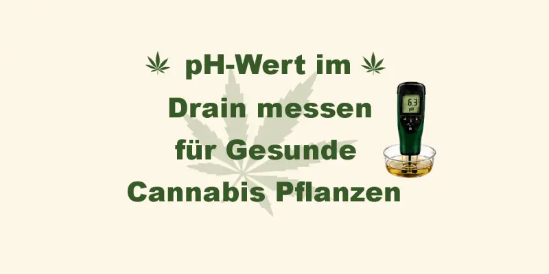 Drain-pH messen bei Cannabis – pH-Wert im Wurzelbereich richtig kontrollieren - Drain-pH messen bei Cannabis | Schritt-für-Schritt Anleitung