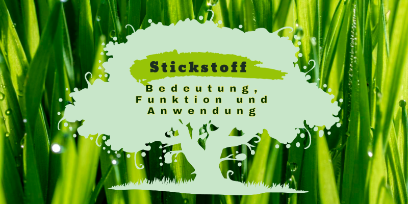 Stickstoff für Pflanzen: Bedeutung, Funktion und richtige Anwendung - Stickstoff für Pflanzen: Bedeutung, Funktion und Anwendung | grownrw-Bayern