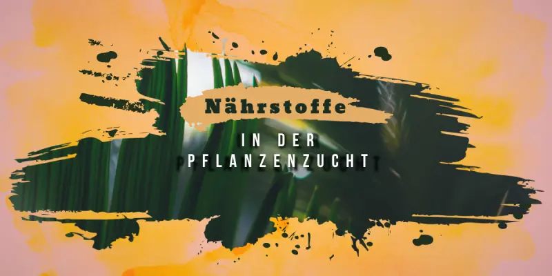 Die Bedeutung von Nährstoffen in der Pflanzenzucht - Die Bedeutung von Nährstoffen in der Pflanzenzucht für gesundes Wachstum