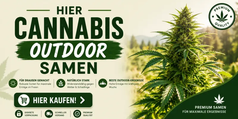 cannabis-samen-outdoor-kaufen