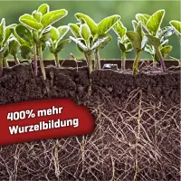 Plant BoOom - Myco-Rhiza BoOoM 100g