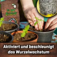 Plant BoOom - Myco-Rhiza BoOoM 100g