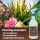 Plant BoOoM - Protect Spray