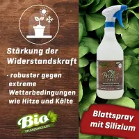 Plant BoOoM - Protect Spray 1 Liter Nachfüllflasche