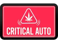 420 Fast Buds - Original Critical Auto - 3 Stk feminisiert