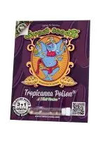 Sweet Seeds - Tropicanna Poison F1 Fast Version® -...