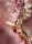 Sweet Seeds - Tropicanna Poison F1 Fast Version® - 3+1 Stk feminisiert