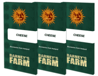 Barneys Farm - Cheese - 3 Stk feminisiert