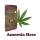 plant-booom-amnesia-haze-cannabis-samen-im-3er-pack