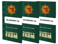 Barneys Farm - Blueberry OG - 3 Stk feminisiert