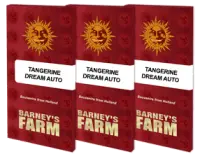 Barneys Farm - Tangerine Dream Auto 3 Stk feminisiert
