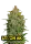 420 Fast Buds - Lemon AK Auto - 3 Stk feminisiert