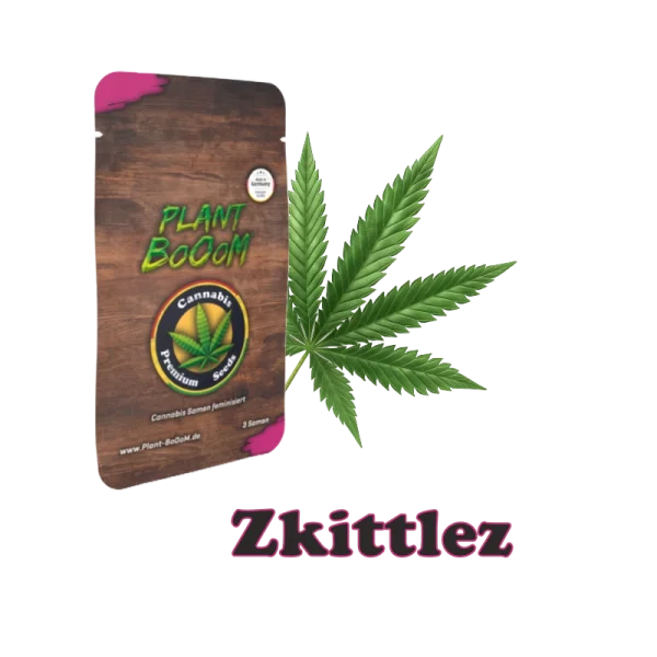 Plant BoOoM Zkittlez Cannabis-Pflanze in voller Blüte