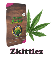 Plant BoOoM Zkittlez Cannabis-Pflanze in voller Blüte