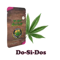 Plant BoOoM Do-Si-Dos Cannabis-Pflanze in voller Blüte