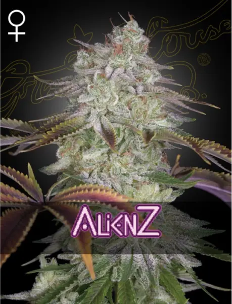Green House Seed Co. - Alienz - 3 Stk feminisiert