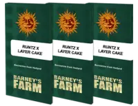 Barneys Farm - Runtz x Layer Cake - 3 Stk feminisiert
