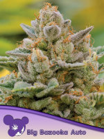 Anesia - Big Bazooka Auto - 5 Stk Autoflower