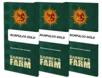 Barneys Farm - Acapulco Gold  | feminisiert