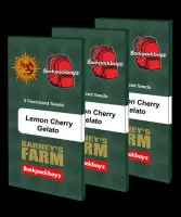 Barneys Farm - Lemon Cherry Gelato - 3 Stk fem.