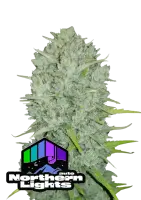 420 Fast Buds - Original Northern Lights Auto - 3 Stk...