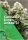 Cannabis Innen Anbau 3.0 | Mr. Jose