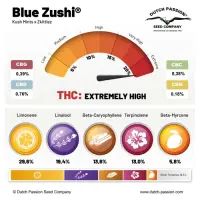 Dutch Passion - Blue Zushi - 3 Stk feminisiert