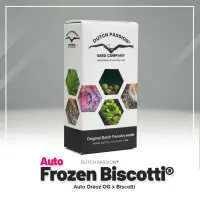 Dutch Passion - Auto Frozen Biscotti - 3 Stk feminisiert