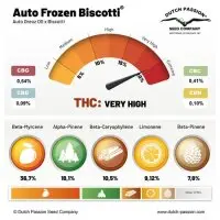 Dutch Passion - Auto Frozen Biscotti - 3 Stk feminisiert