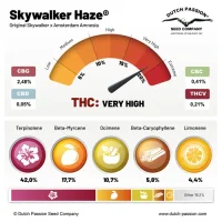 Dutch Passion - Skywalker Haze® - 3 Stk feminisiert