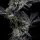 Barneys Farm - Garlic Cookies - 3 Stk feminisiert