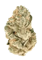 420 Fast Buds - Gorilla Melon - 3 Stk feminisiert