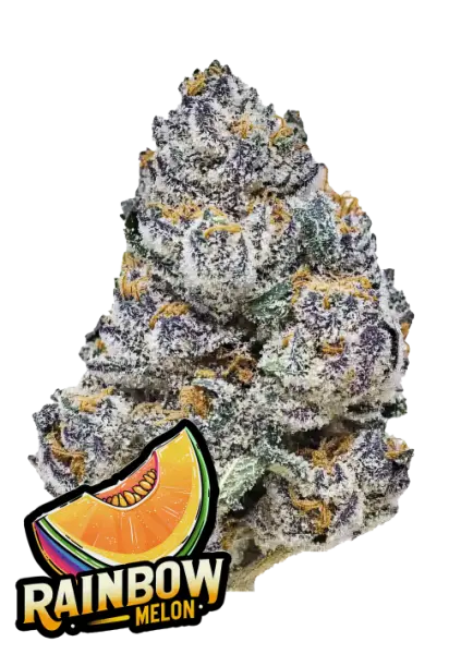 420 Fast Buds - Rainbow Melon - 3 Stk feminisiert