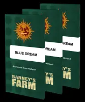 Barneys Farm - Blue Dream - 3 Stk feminisiert