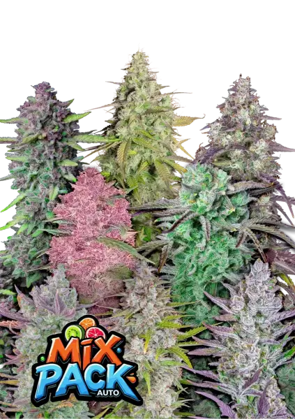420 Fast Buds - Mix Pack Auto