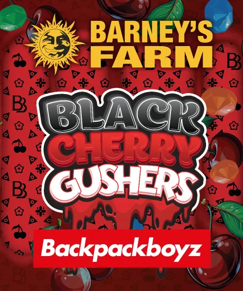 Barneys Farm - Black Cherry Gushers - 3 Stk feminisiert