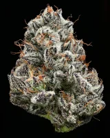 Barneys Farm - Black Cherry Gushers - 3 Stk feminisiert