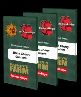 Barneys Farm - Black Cherry Gushers - 3 Stk feminisiert