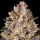 Barneys Farm - Hindu Kush - 3 Stk fem.