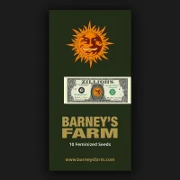 Barneys Farm - Zillions - 3 Stk fem.