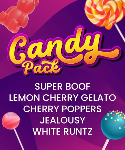 Barneys Farm - Candy Pack - 5 Stk feminisiert