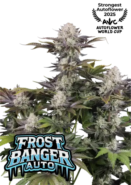 420 Fast Buds - Frostbanger Auto™ F4