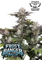 420 Fast Buds - Frostbanger Auto™ F4 - 3 Stk...