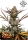 420 Fast Buds - Apple Strudel Auto™