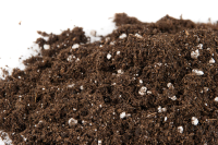 Plagron Grow Mix mit Perlite 50 L