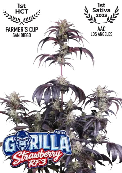 420 Fast Buds - Strawberry Gorilla Auto RF3